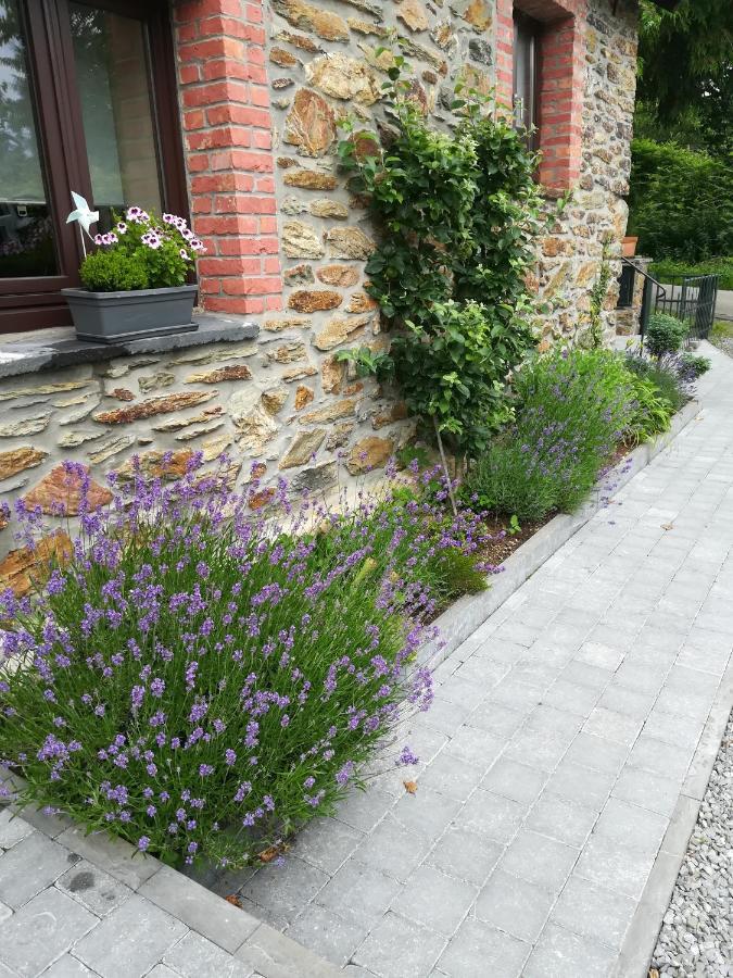 Le Fournil Gite Rural Trois-Ponts Exterior photo
